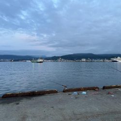 小樽港での投げ釣りとサビキ釣り!!!