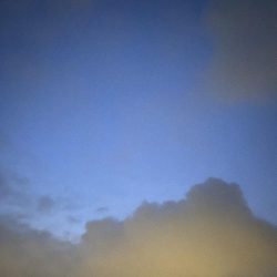 価値ある1匹とガシラッシュ