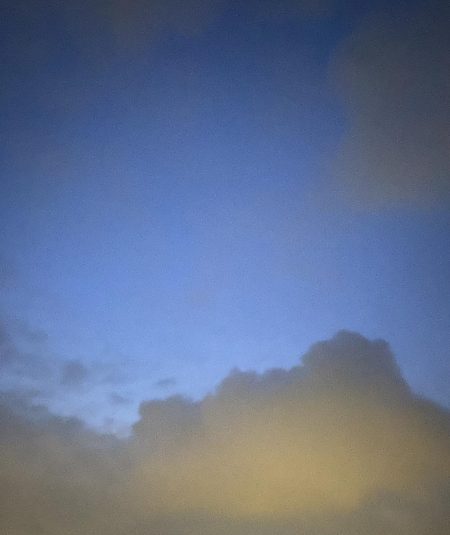 価値ある1匹とガシラッシュ