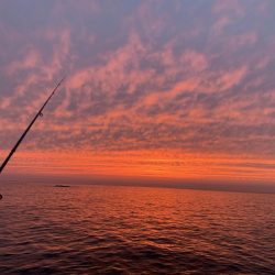 最終メバリング