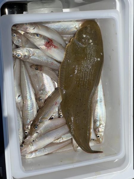 最後の最後のラスト1投で