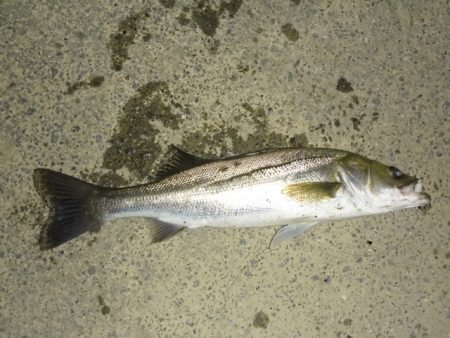 静けさの中での、まさかのHit！