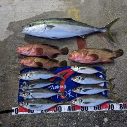 飲ませ最高(サウス)