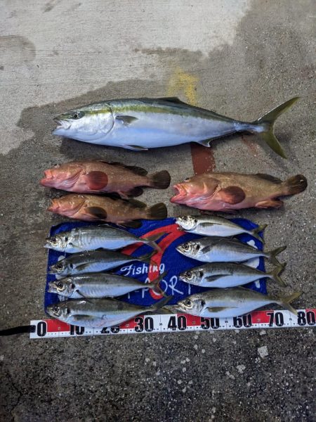 飲ませ最高（サウス）