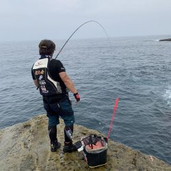 和歌山市江(吉丸渡船)でグレ釣り