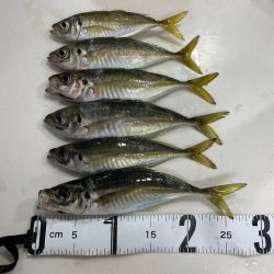 デイアジング🎣💕