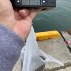 自己最高の大物ゲット！