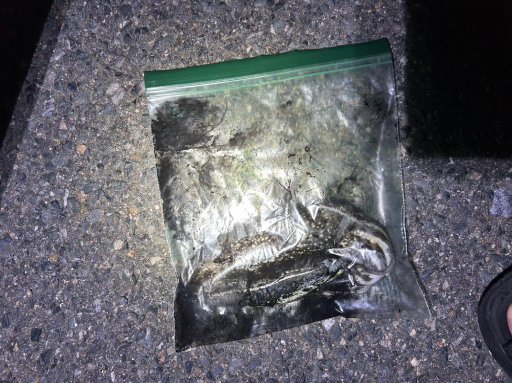 10時間釣行…笑