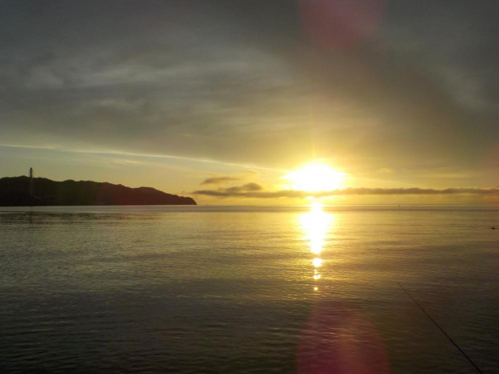 ピンギス無限ループat栗田