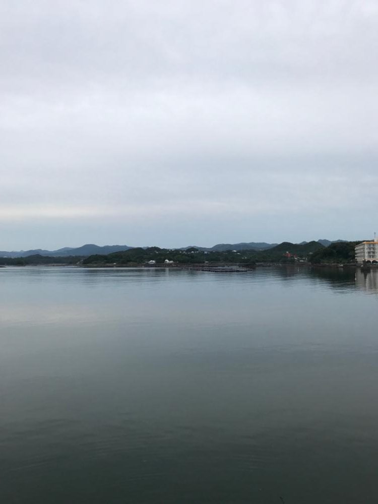 ガシラリベンジ！