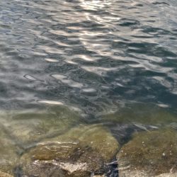 雨上がり調査に!