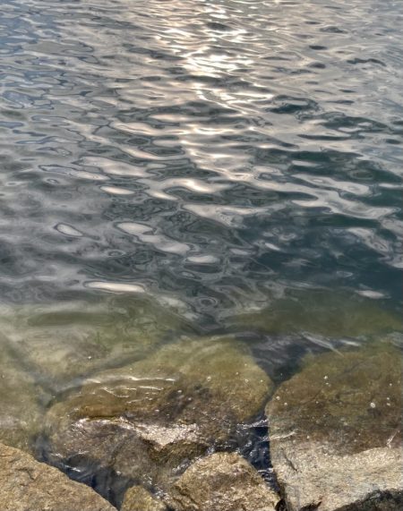 雨上がり調査に!