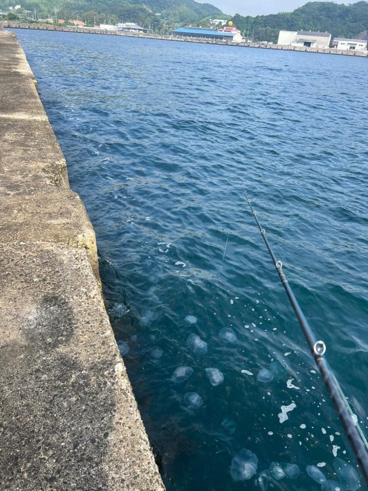 炎天下の中の化け物狙い