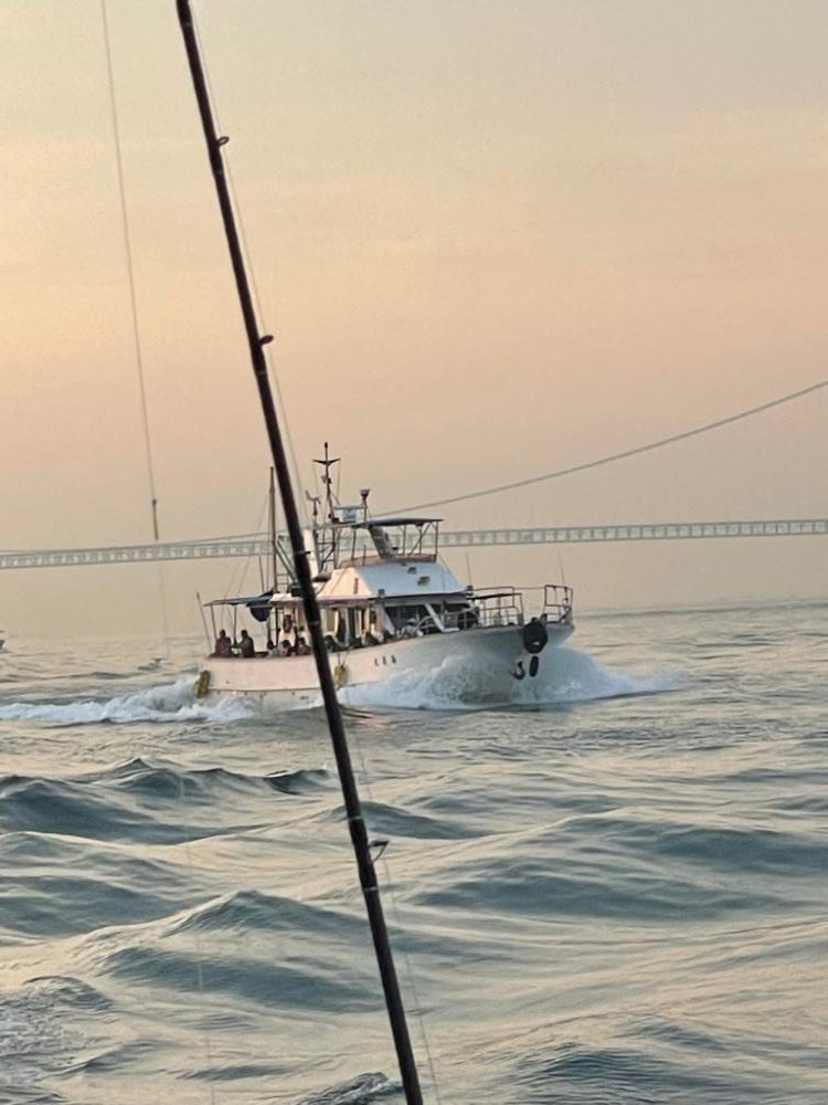 明石　船タコ釣り