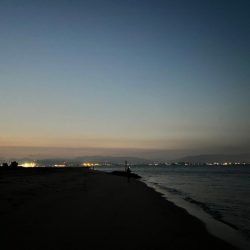 前回とは打って変わって…