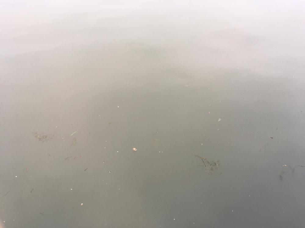 増水+満潮=潮位高