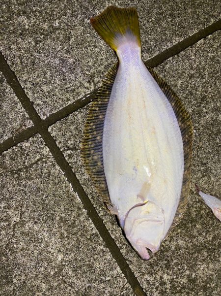 ガシラパターン