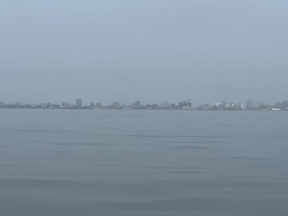 函館沖、SLJ根魚五目