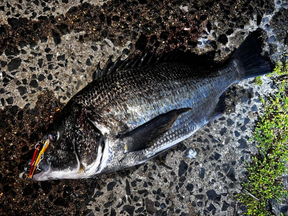 バイブレーションの早巻き!