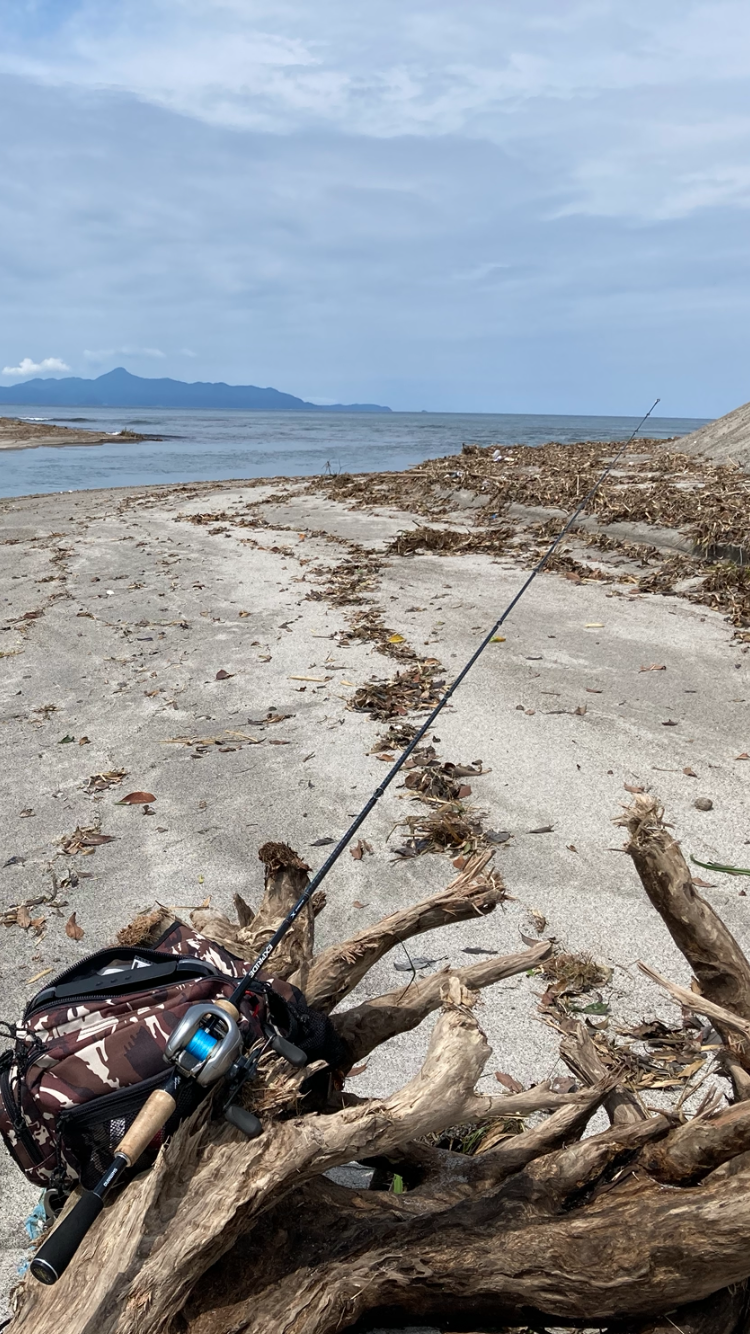 なんちゃってベイトチニング