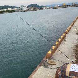 一昨日釣れた興奮今一度！