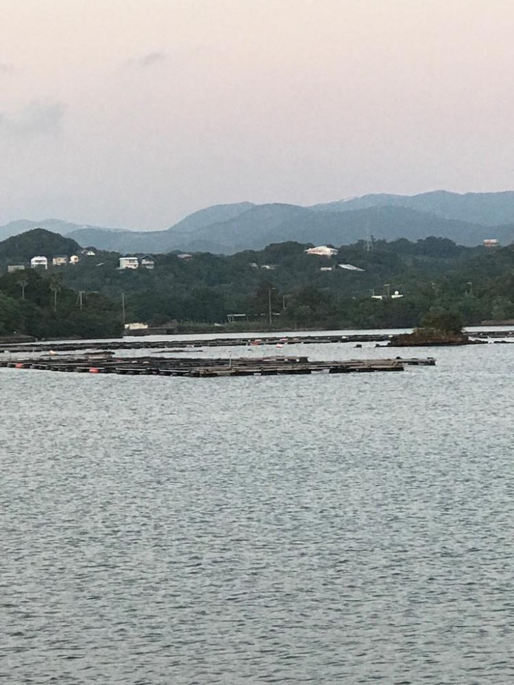 ベラとネンブツダイ