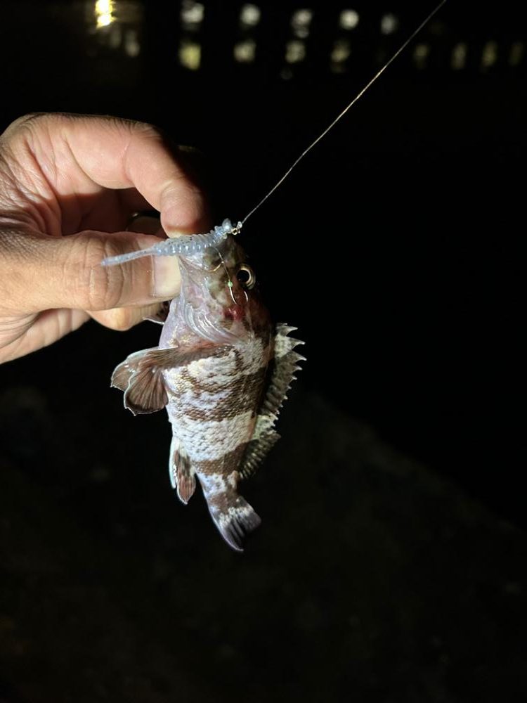 チョイ投げと、ライトゲームす