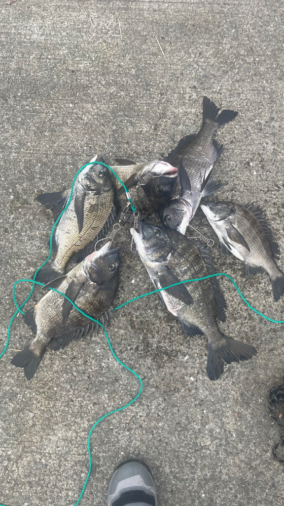 波止フカセ 実際は 二桁