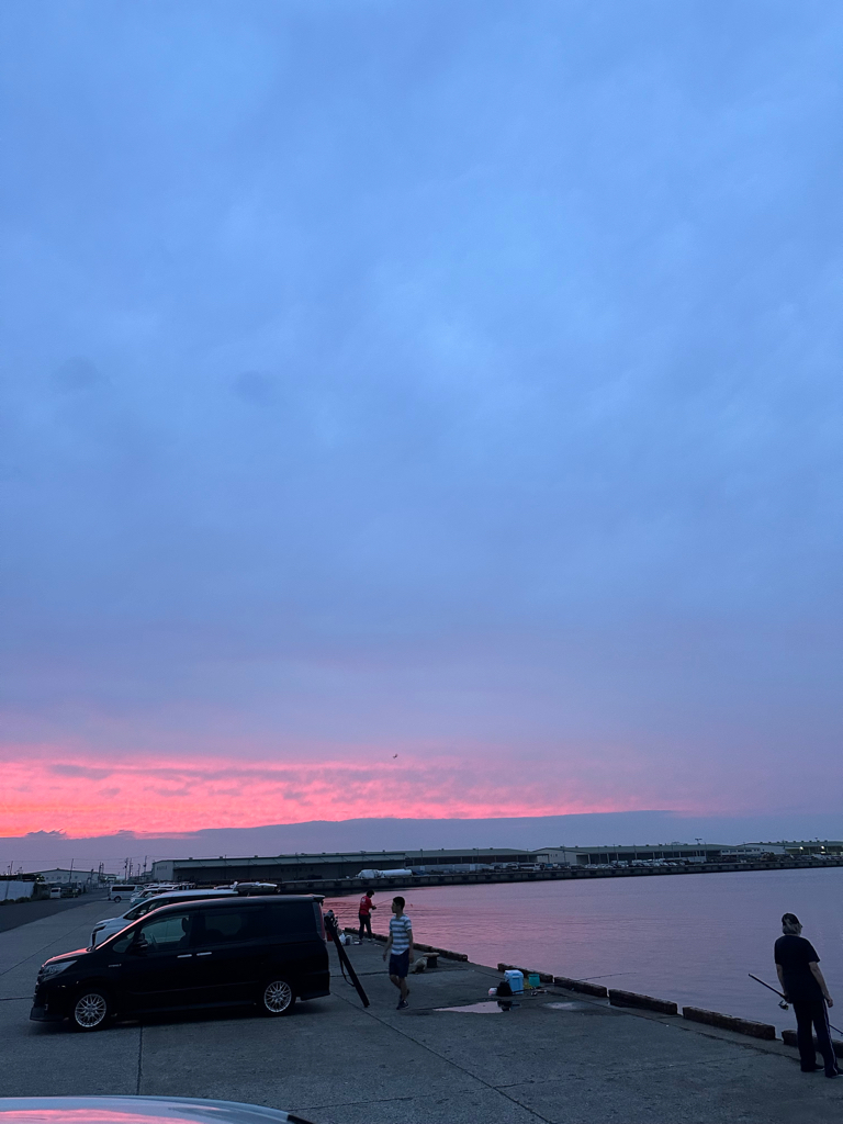 イワシ、アジ、キス