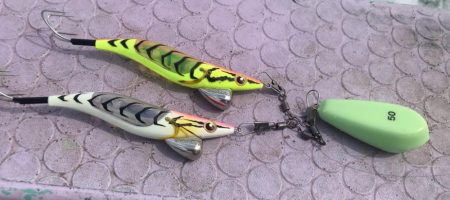 淡路室津のモンスタータコ