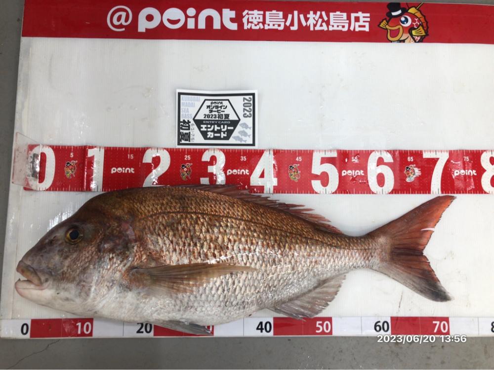 6/20 伊島沖タイラバ&ジギング