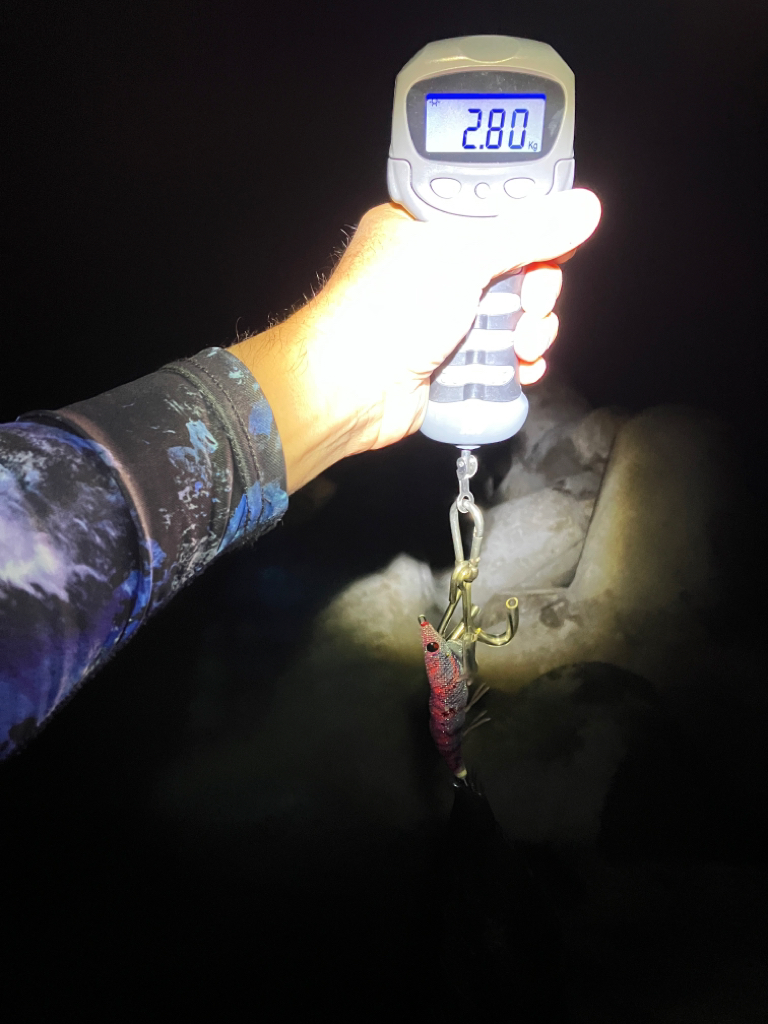 エギング記録更新