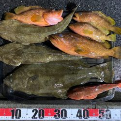 アコウ狙いのボート釣行