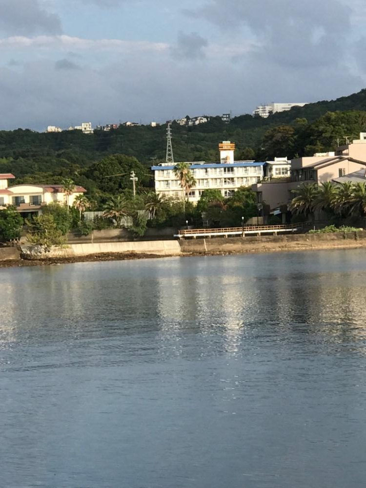 いろんな魚が釣れます♪