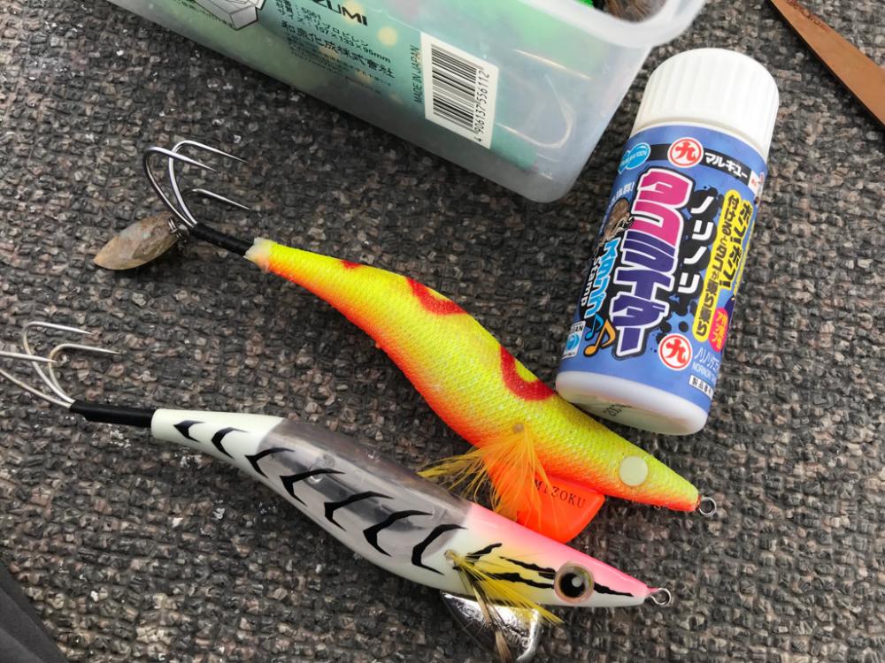 室津の夏フグ&タコ