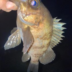 2023ライトゲーム第21戦