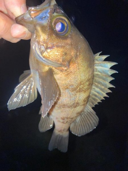 2023ライトゲーム第21戦