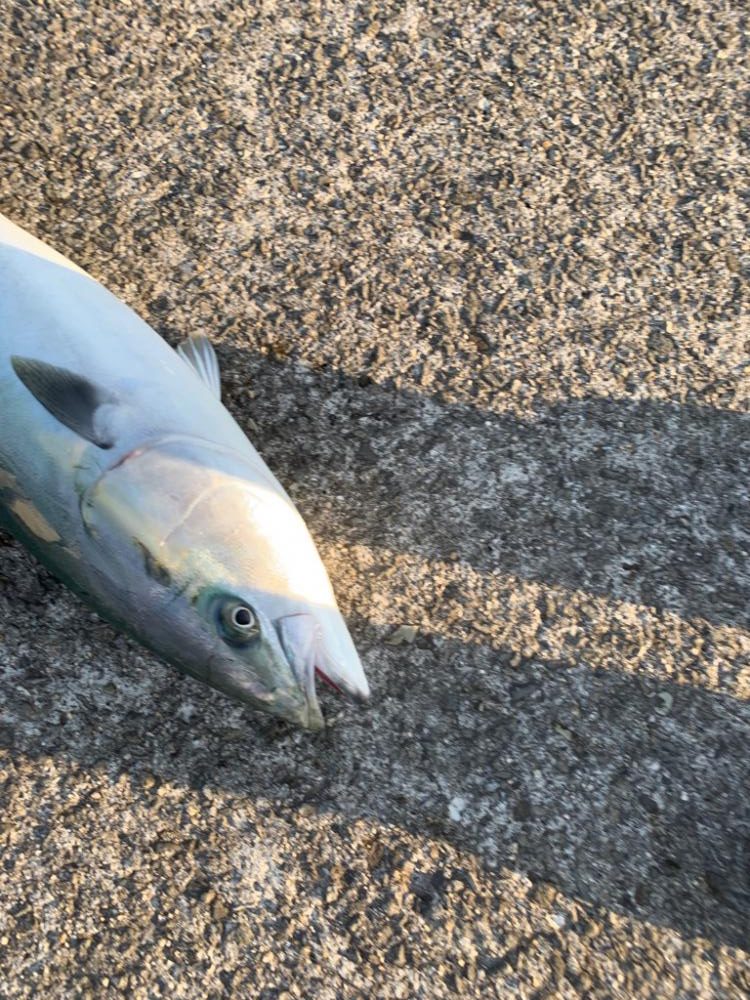 3年目の念願！！