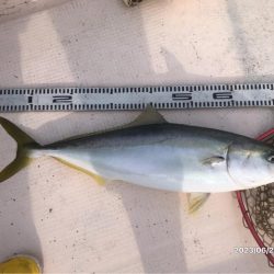 6/27 伊島沖タイラバ&ジギング