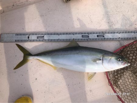 6/27 伊島沖タイラバ&ジギング