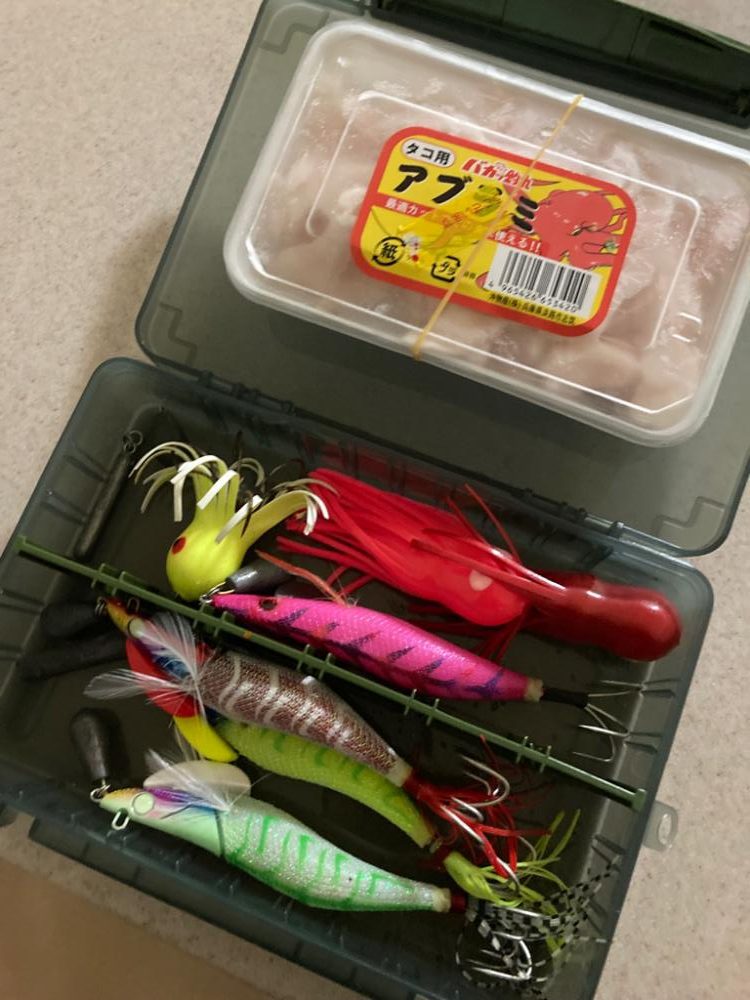 ⭐︎3日連続タコ