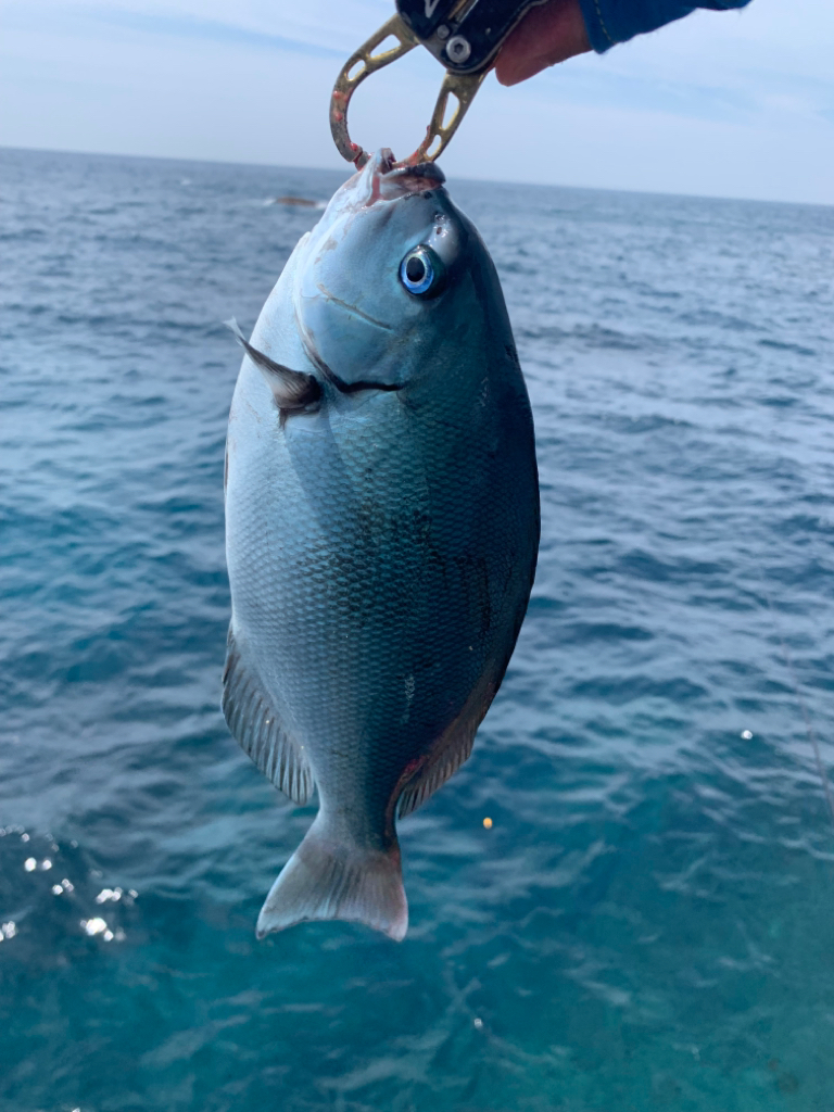 梅雨の晴れ間に…