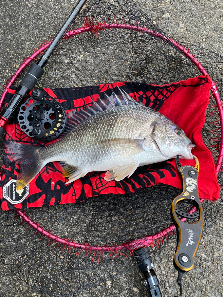 ヘチってきました