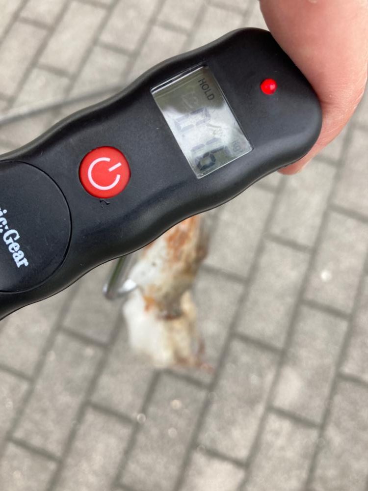 昨日と変わらず2蛸。。