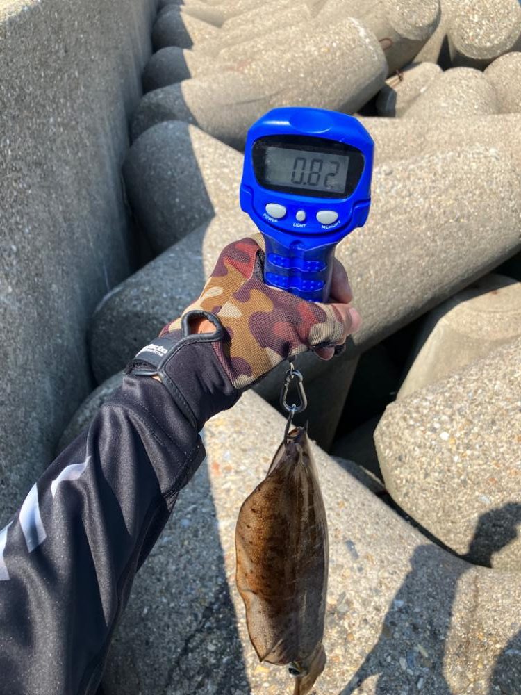 短時間でアオリ2杯GET *\(^o^)/*