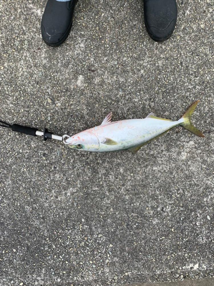 なんとか一本！