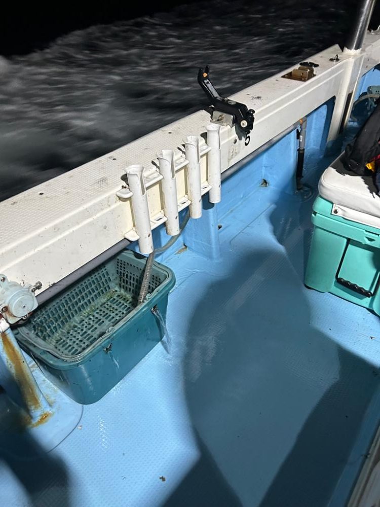 ケンサキイカ！