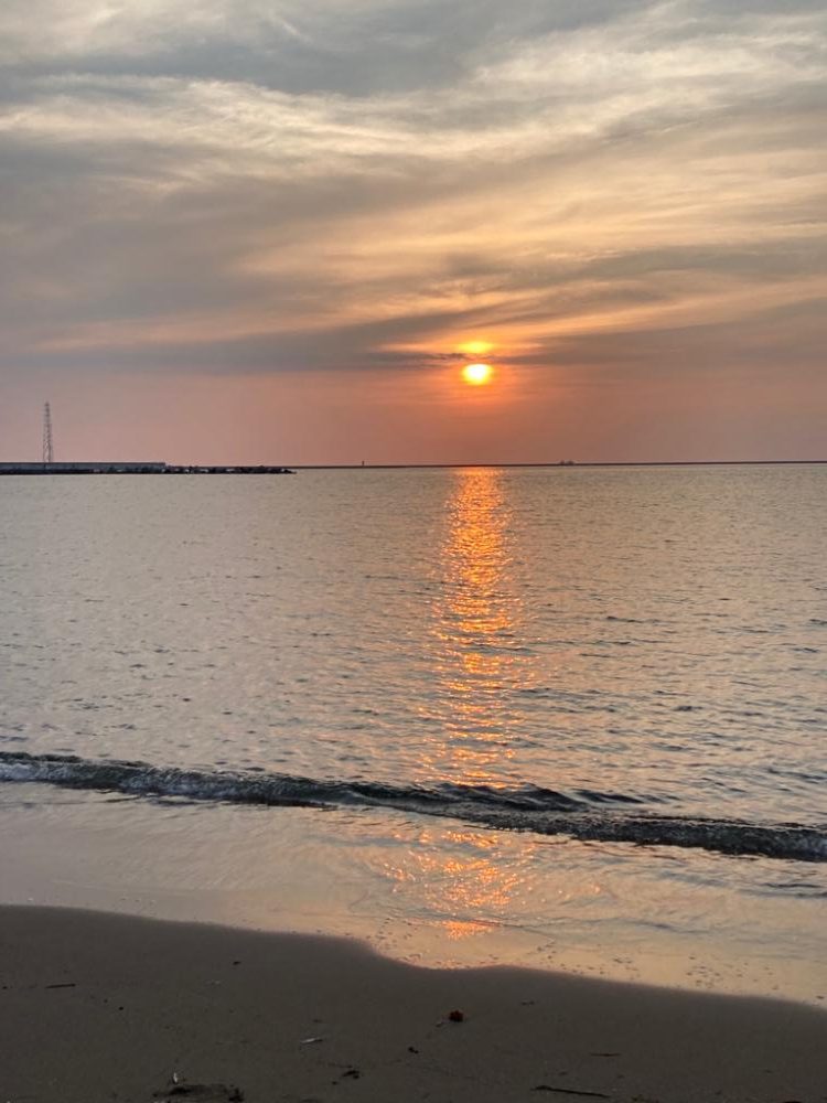 今年初のキス釣り🎣