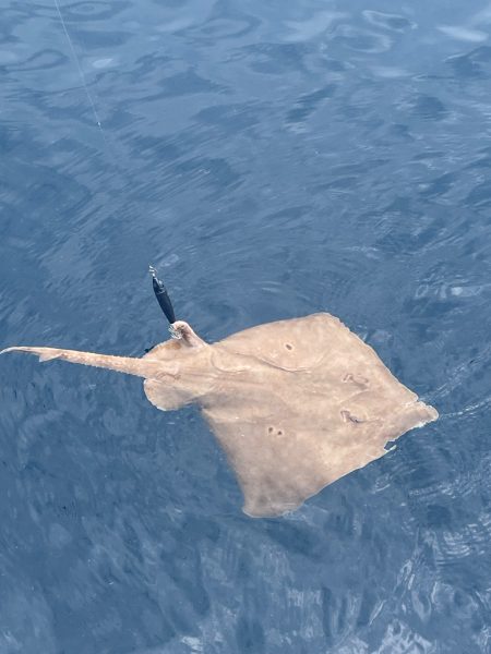雨のマイボート釣行