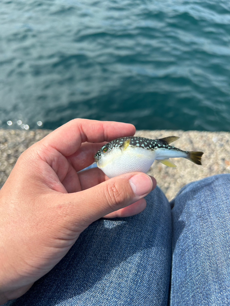 スーパーライトゲーム笑